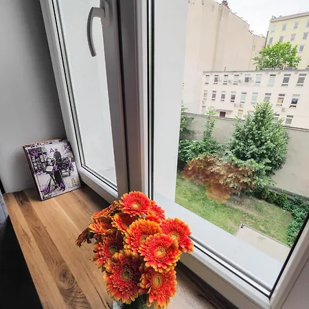 Vibe And Design * Varsó
